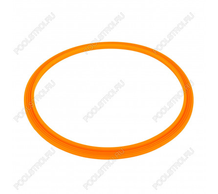 Уплотнительное кольцо AquaViva прожектора LED/UL-P100 2021004